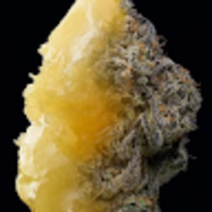 Meet your Posher, Anthoney